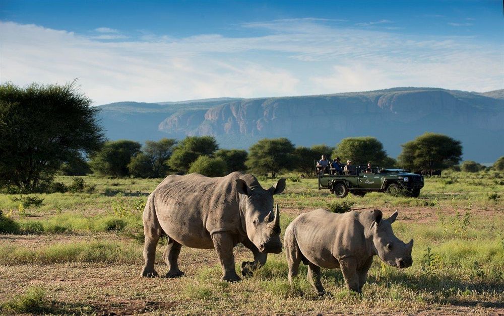 Marataba Safari Lodge Hartbeestfontein Luaran gambar
